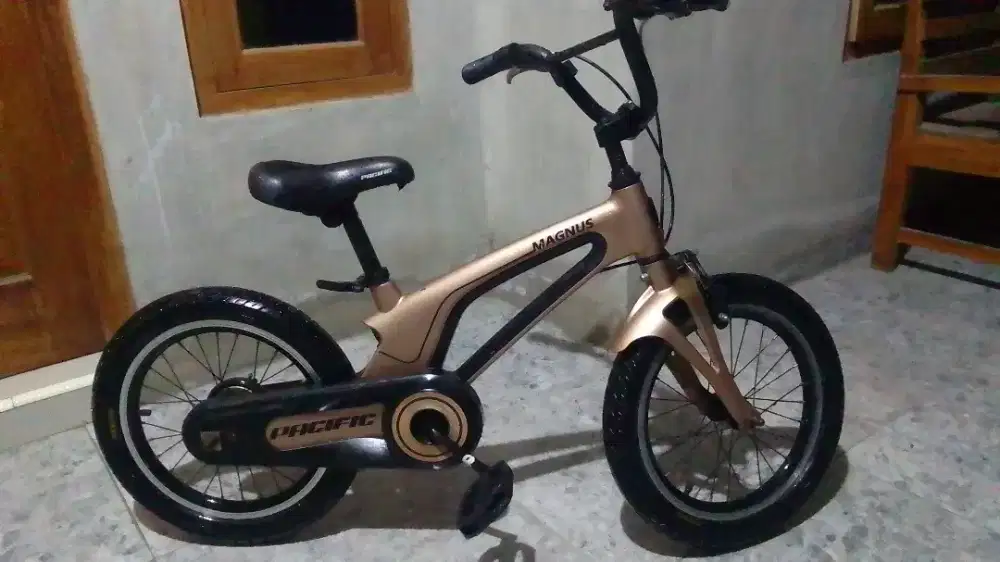 Sepeda anak pacific magnus 16