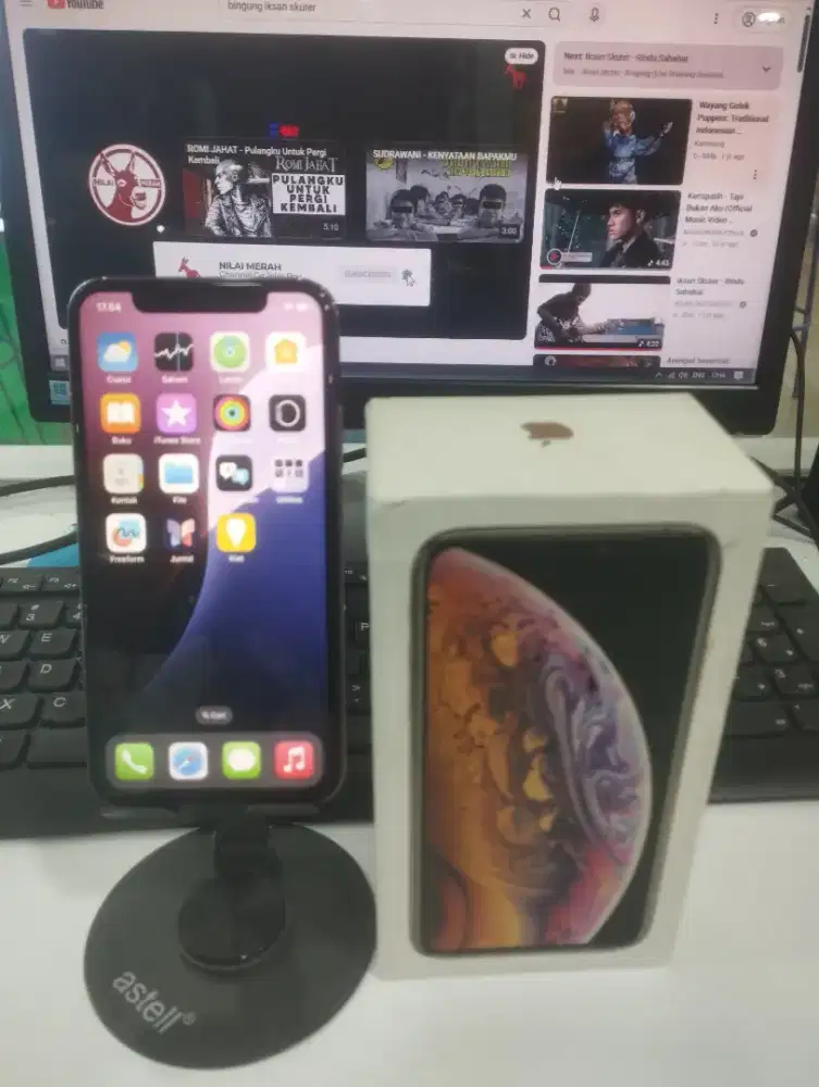 iPhone XS 256GB inter Regis