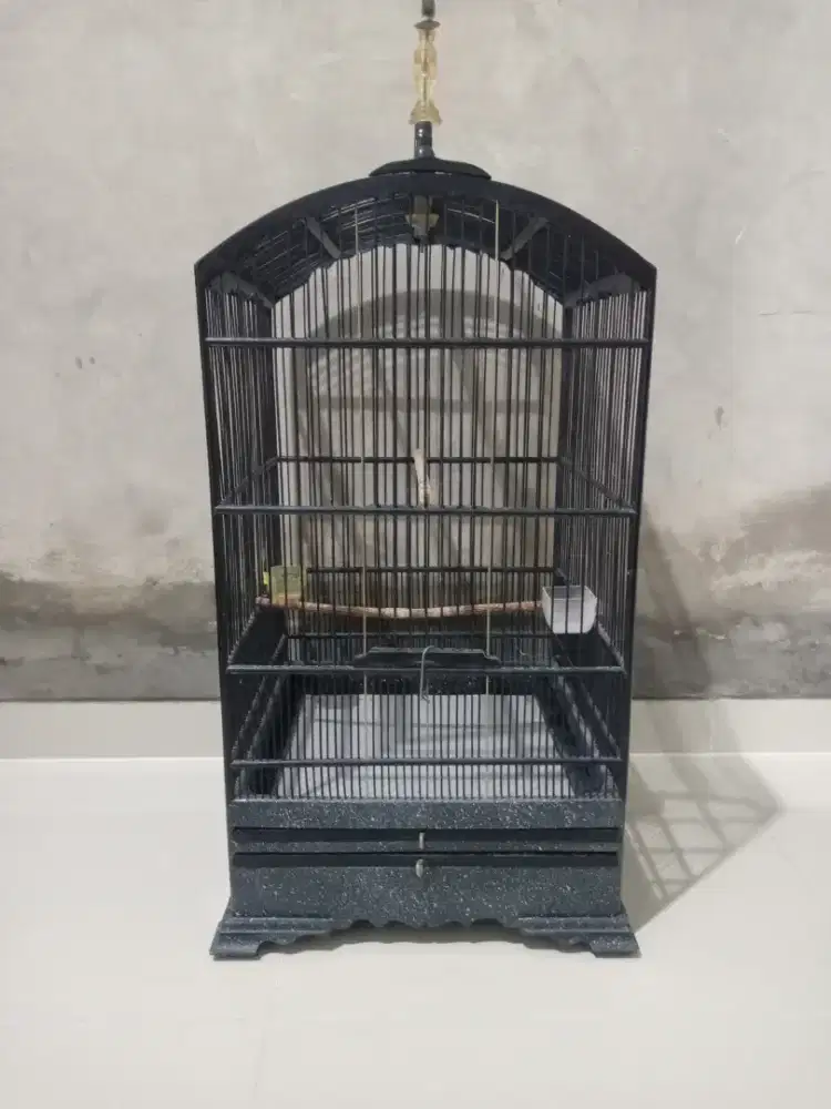 Sangkar kosan merk phantom
