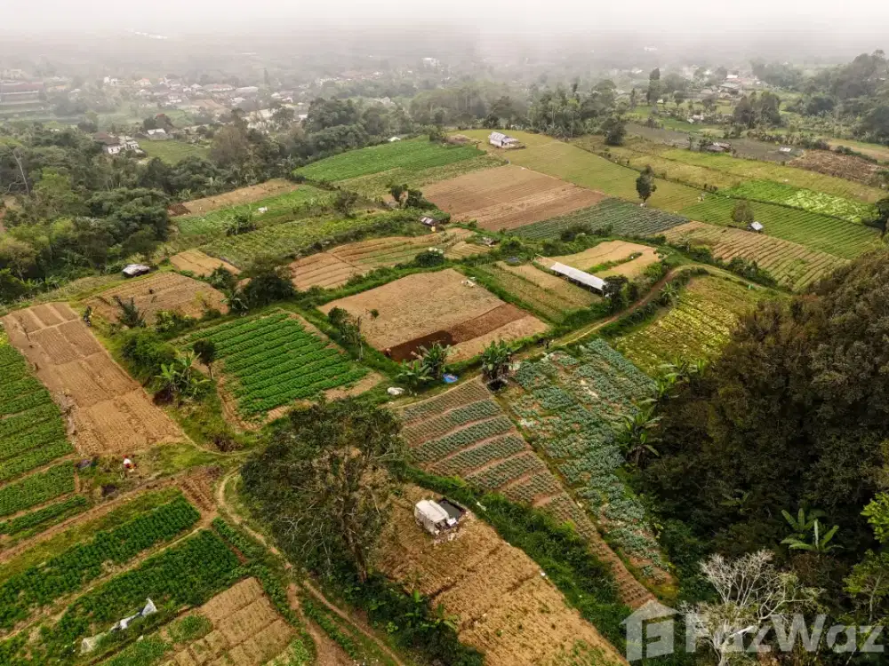 Land for sale in Baturiti, Bali