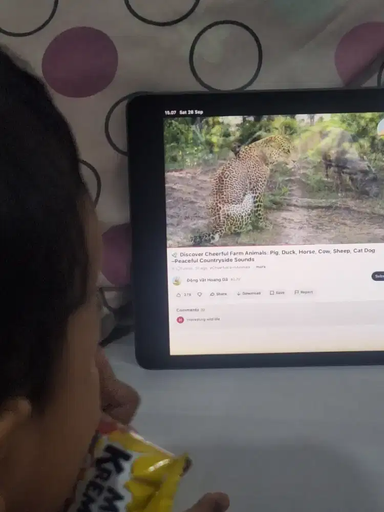 Ipad gen 9th wifi only 64gb