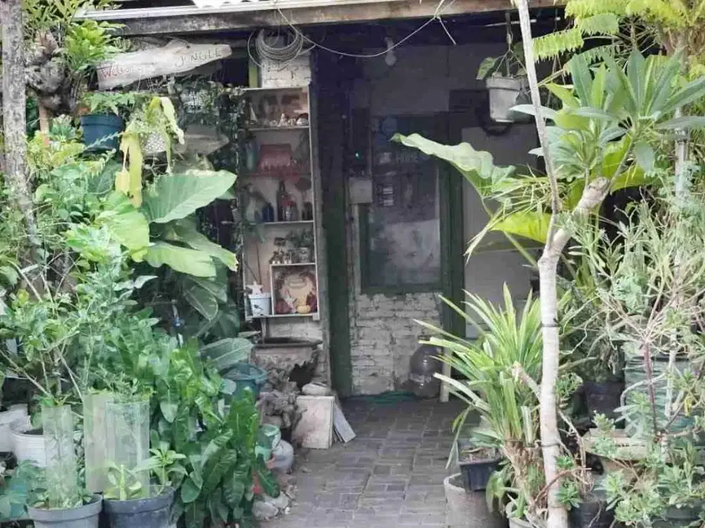 Dijual Rumah hitung tanah di lebak arum
