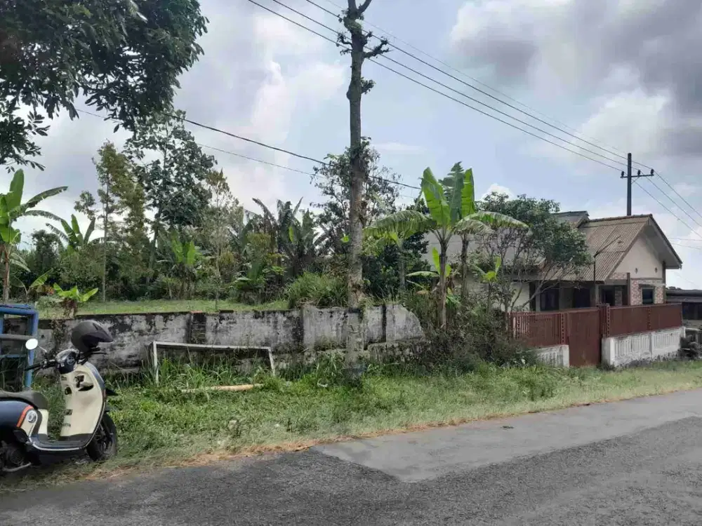 tanah dijual poros raya tutur