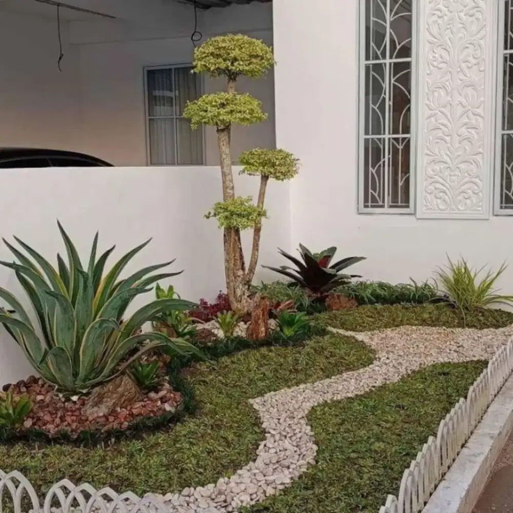 Taman rumput gajah mini