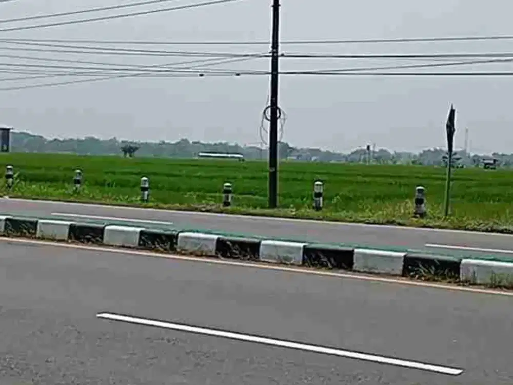 tanah sawah Sragen dekat tol