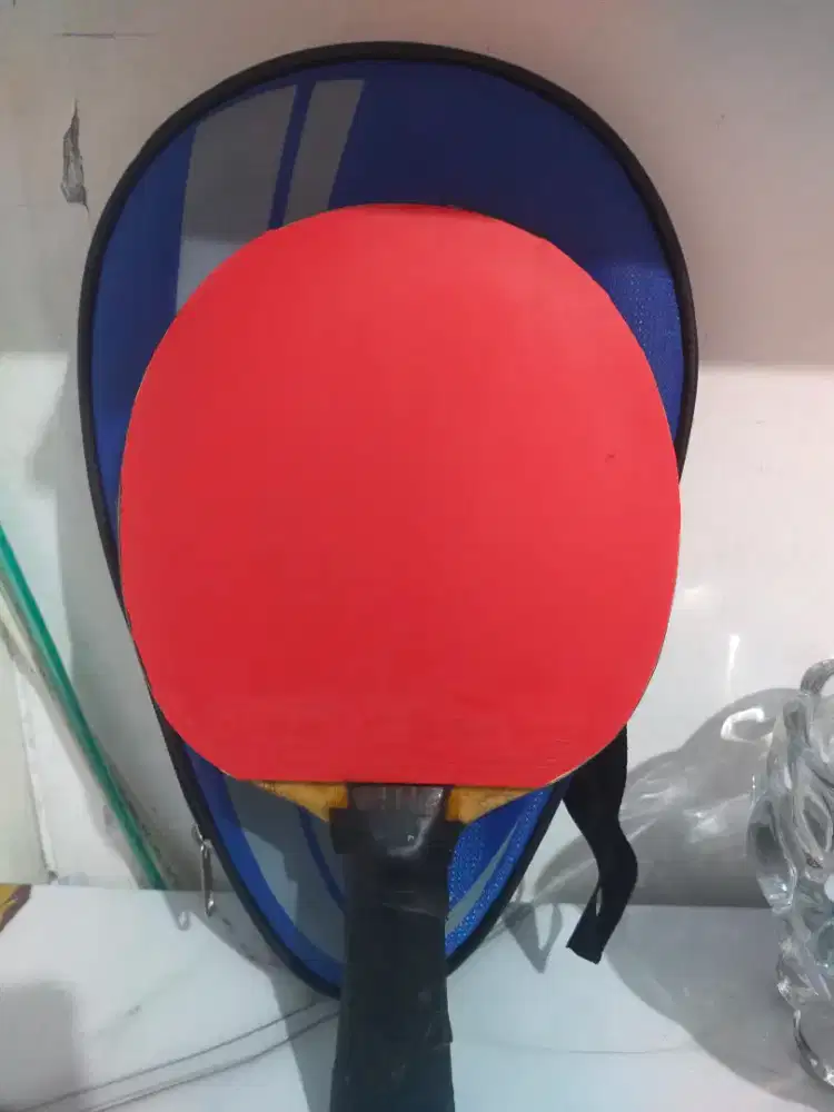 Bat pingpong Sardius Lama
