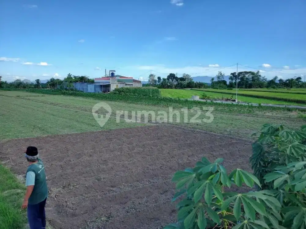 Tanah 2.075M² Zona Kuning Dekat Jalan Utama Solo-Jogja, Rp 1,6 Miliar