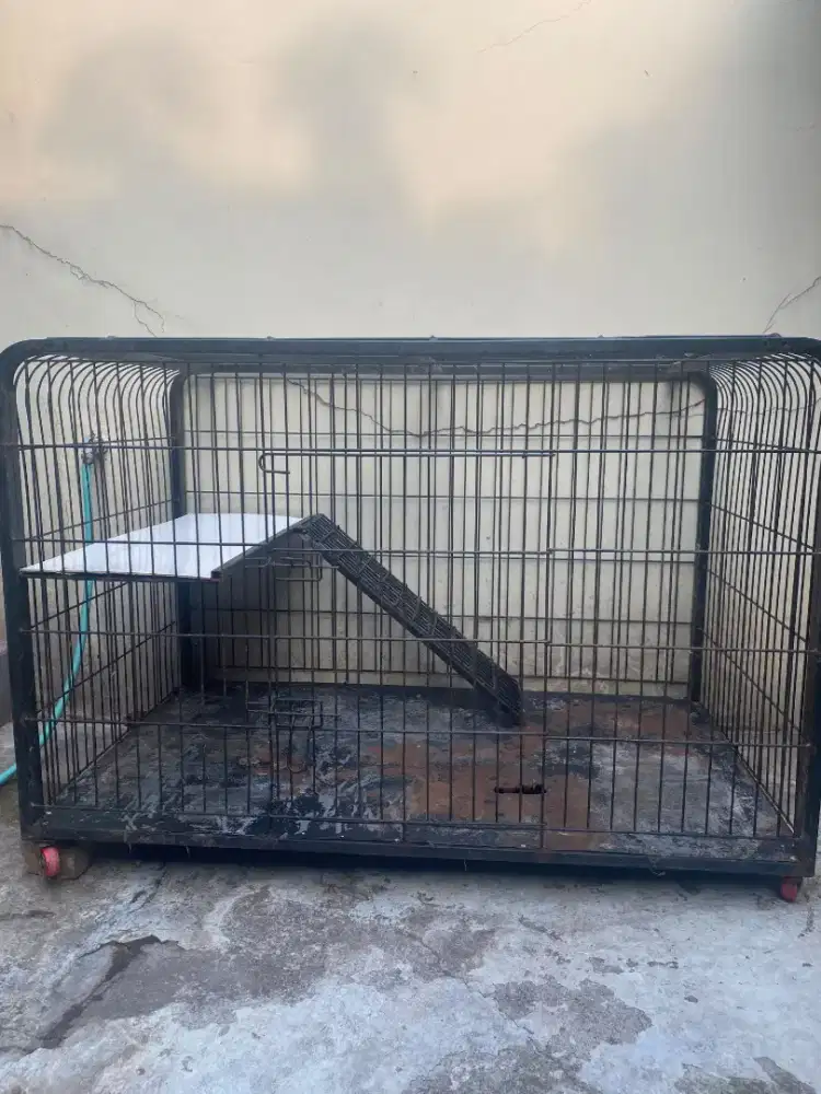 Kandang anjing 80x130cm
