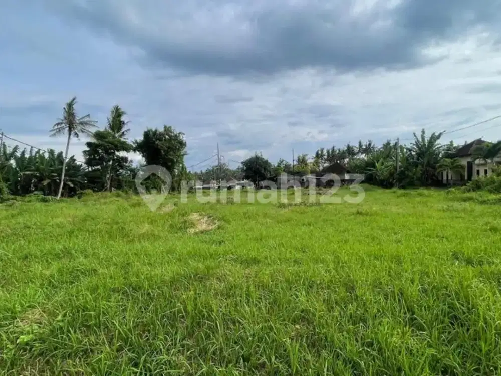 Tanah Kavling Strategis 119M² Siap Bangun Bongan Tabanan, Hadap Barat, SHM, Rp 316 Juta