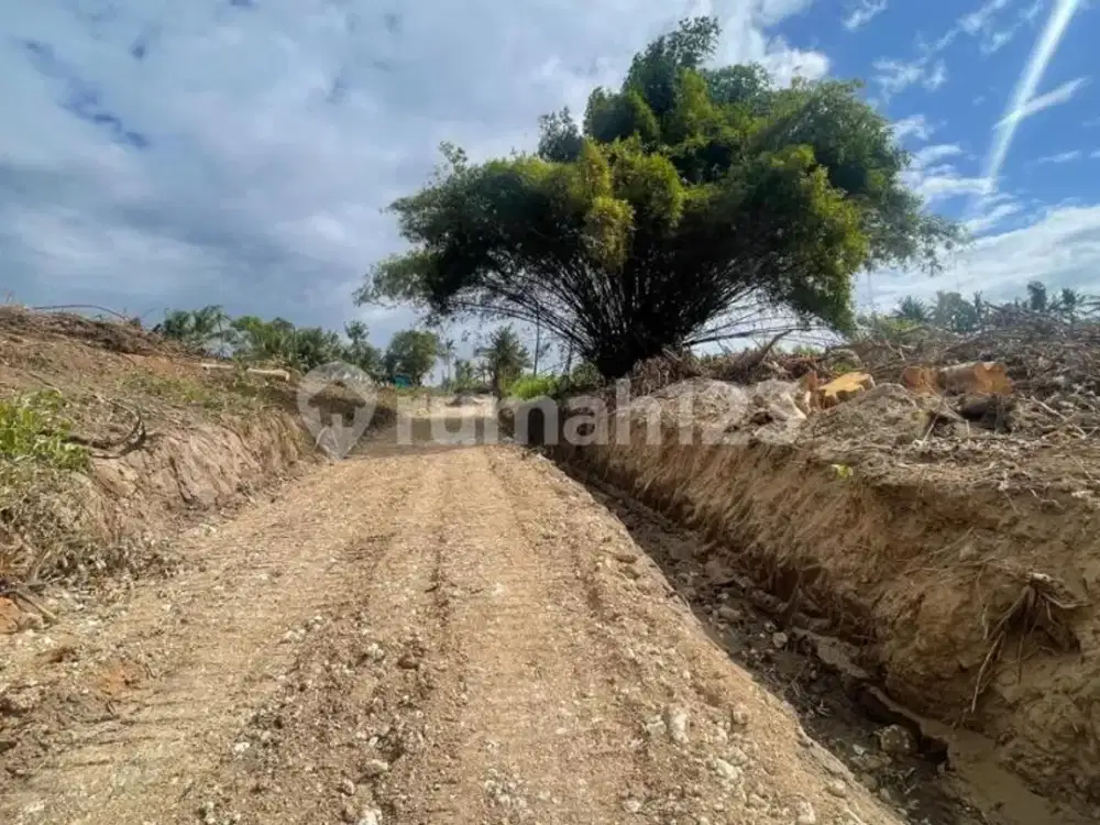 Tanah Global 3.720M² Depan Rs Kasih Ibu Saba Gianyar, Cocok Bangun Villa