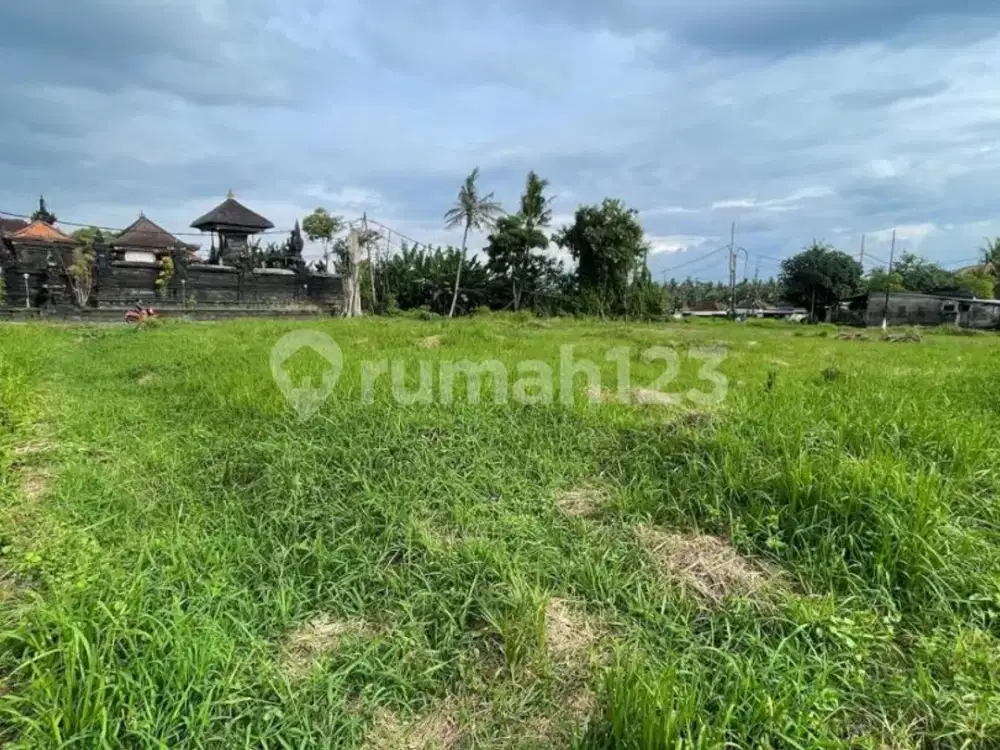 Tanah Kavling Strategis 94M² Siap Bangun Bongan Tabanan, Hadap Barat, SHM, Rp 250 Juta