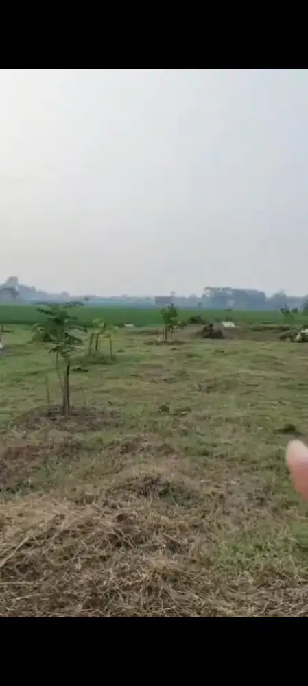 Tanah di jual untuk kavling