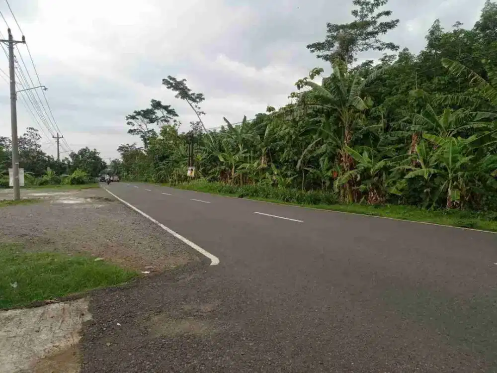tanah strategis pinggir jl raya batu jamus sragen