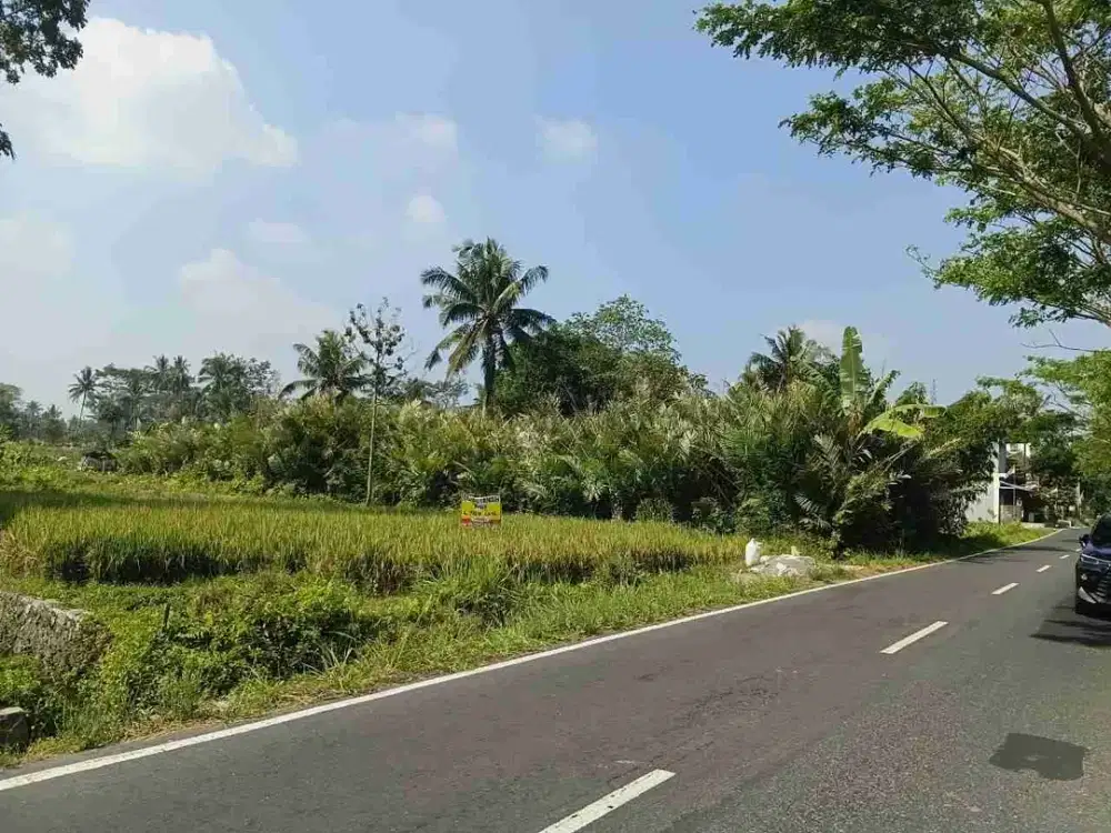Dijual Cepat Tanah Pekarangan view sawah diseputaran Utara kantor Kalurahan Donoharjo Ngaglik Sleman