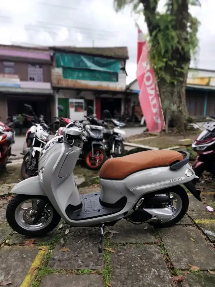 HONDA SCCOOPY STYLISH