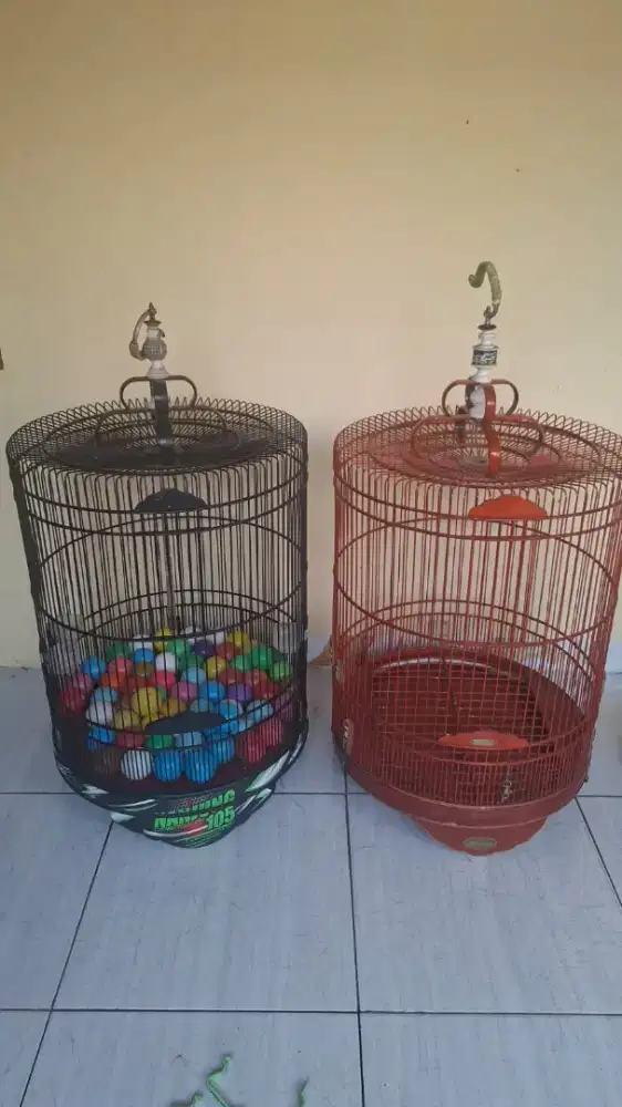 KANDANG BURUNG MURAI.