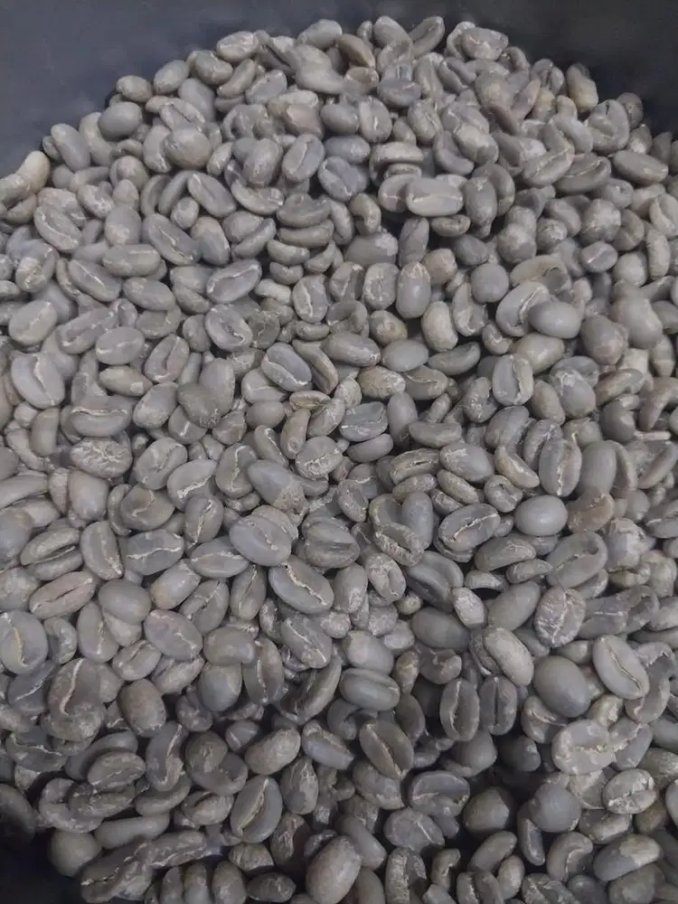 Kopi arabica robusta luwak temanggung