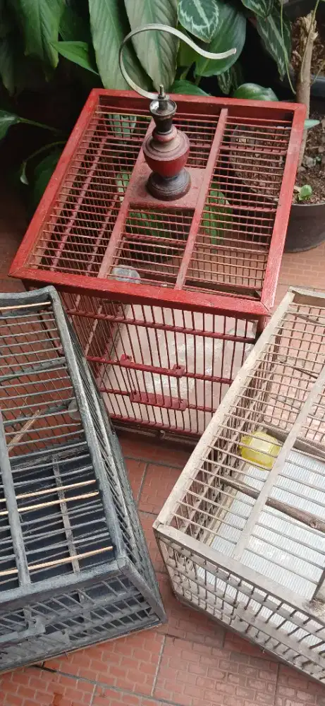 Kandang kayu tinggal pake saja