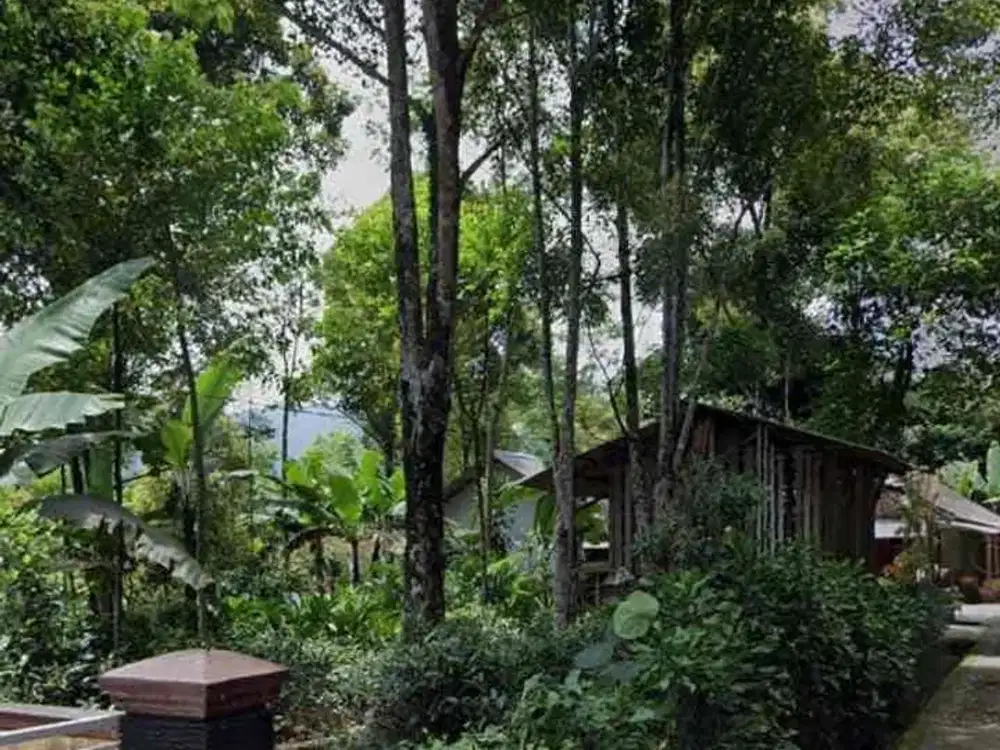 Di Jual Kebun Cocok Untuk Villa,View Bagus