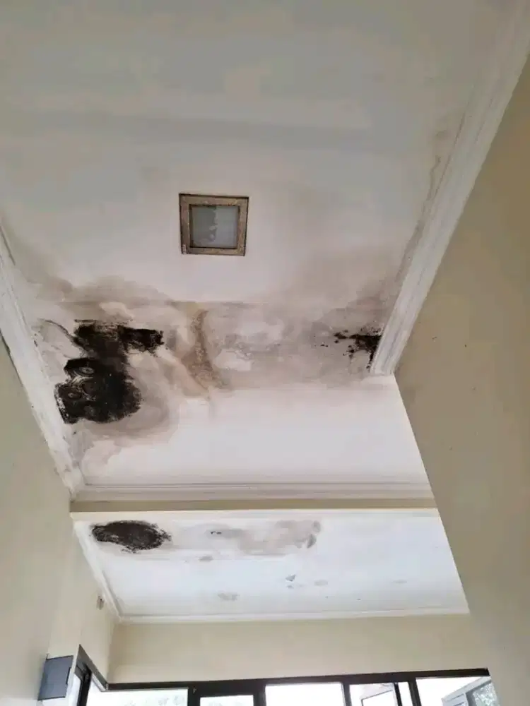 Tukang atap bocor ganti atap rumah renopasi