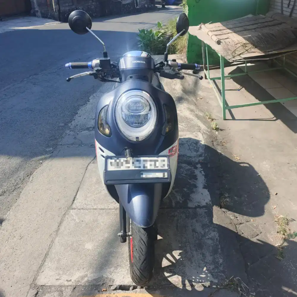 Scoopy 2024 plat DK