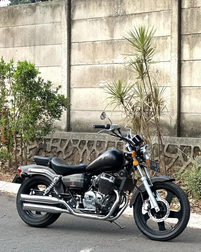 Benelli patagonian eagle 250 2022