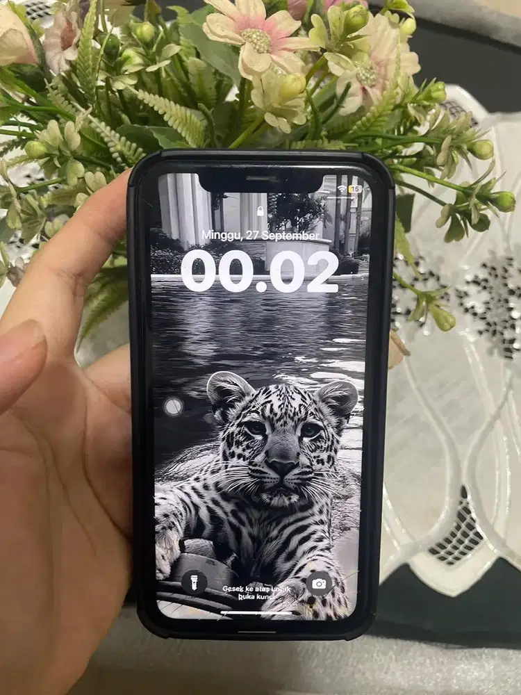 iphonee xr 64 inteer