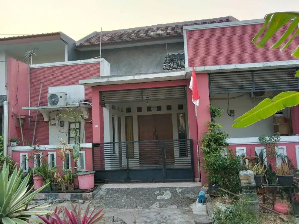 Rumah Disewakan