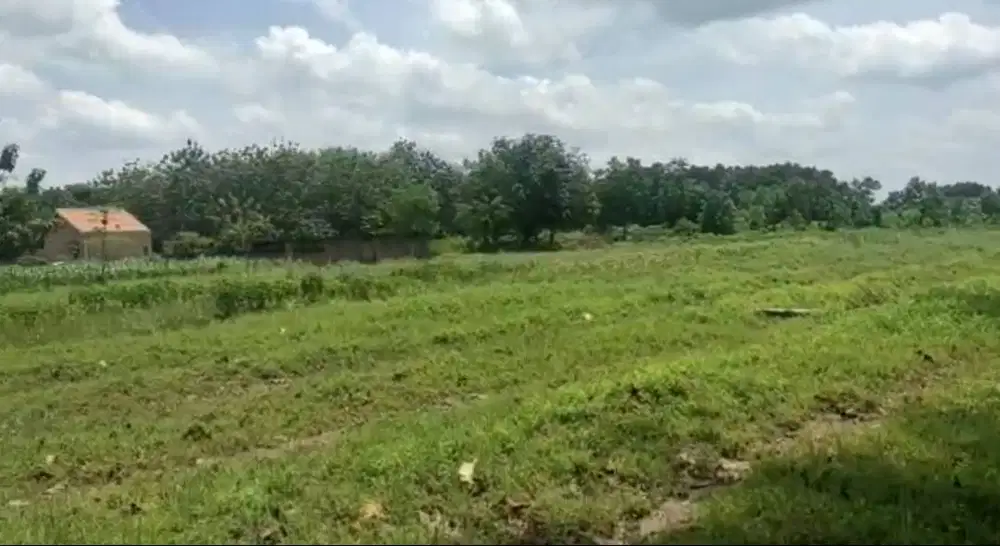 KAVLING HANYA 100 MTR DARI JALUR DUA RYACUDU KAMPUS ITERA