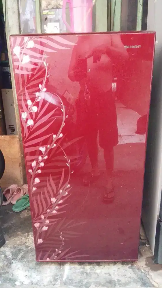 Kulkas 1 pintu SHARP GRATIS ANTAR