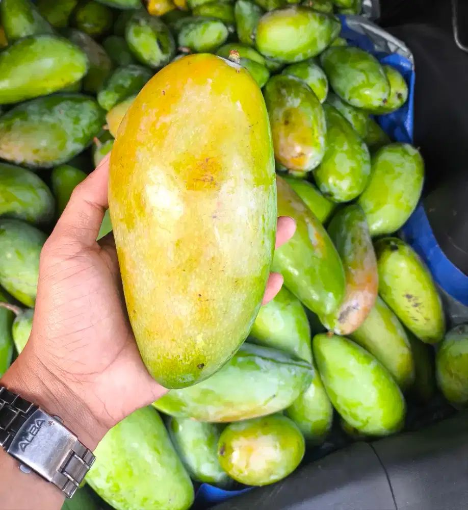 Karyawan Jual Buah
