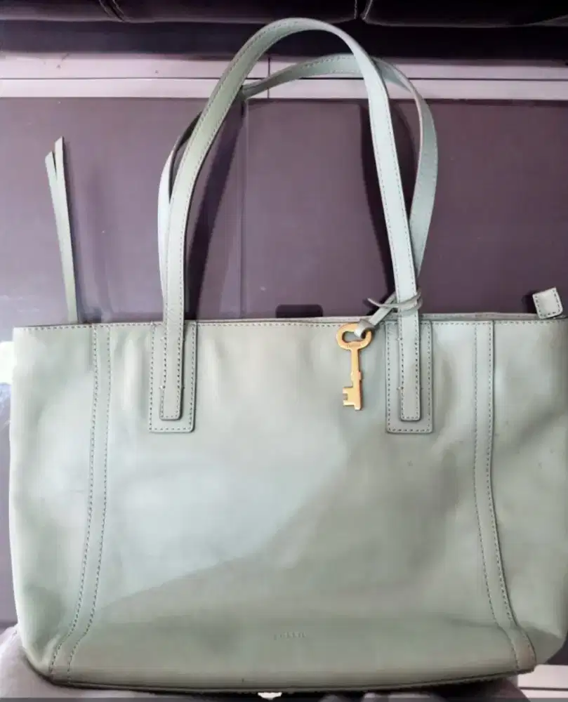 Tote fosil authentic