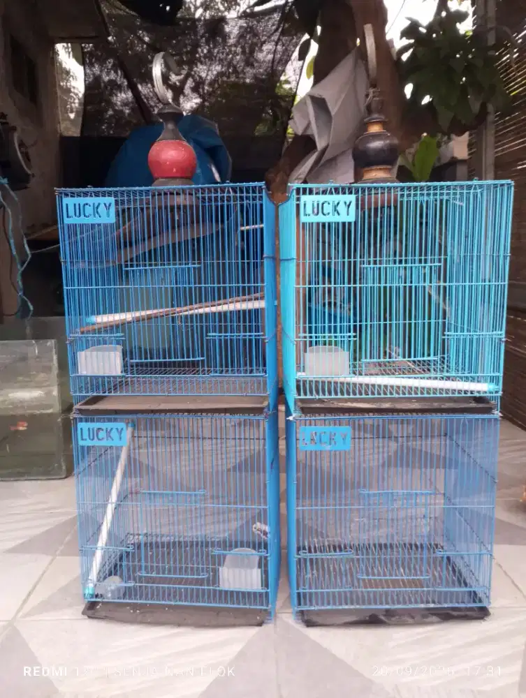 Kandang burung second