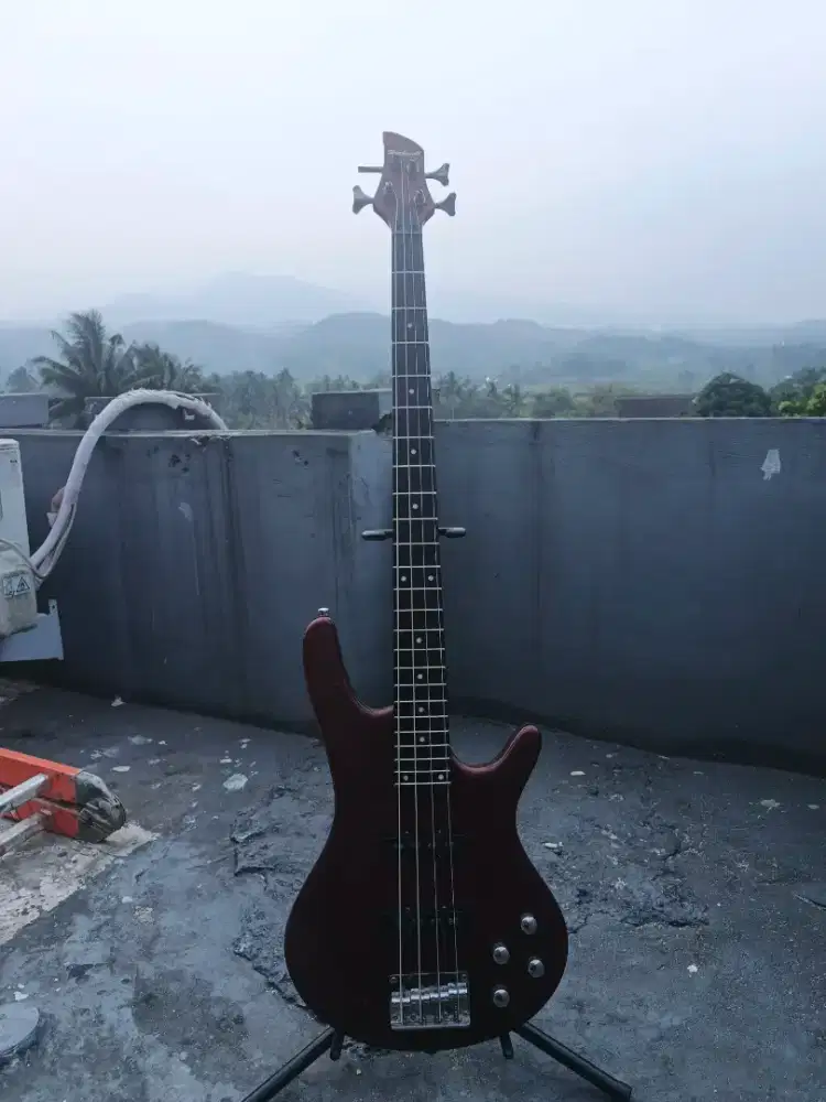 Bass rockwell original