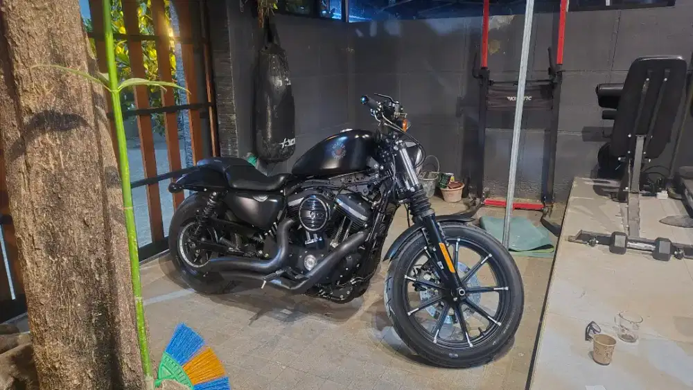 HARLEY SPORTSTER IRON 883 2020 FULL PAPER
