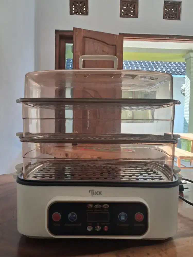 ELECTRIC STEAMER MULTIFUNCTIONAL