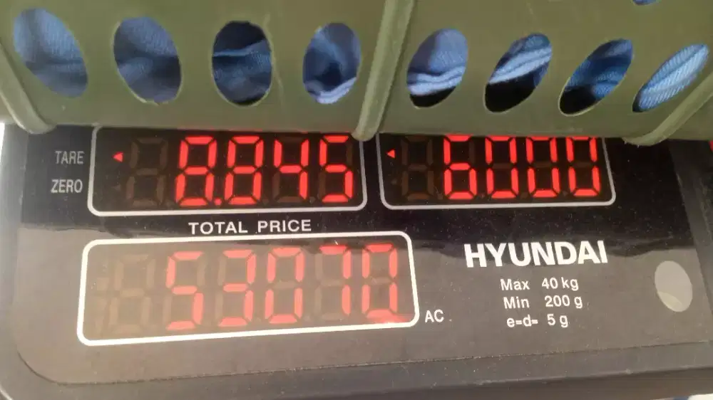 Dibutuhkan cepat tukang setrika