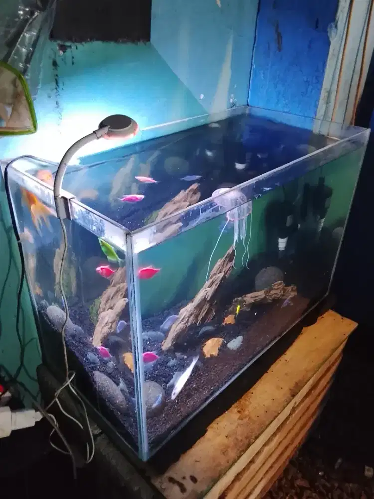 Jual aquarium siap jadi full harga murah angkut semua / NEGO