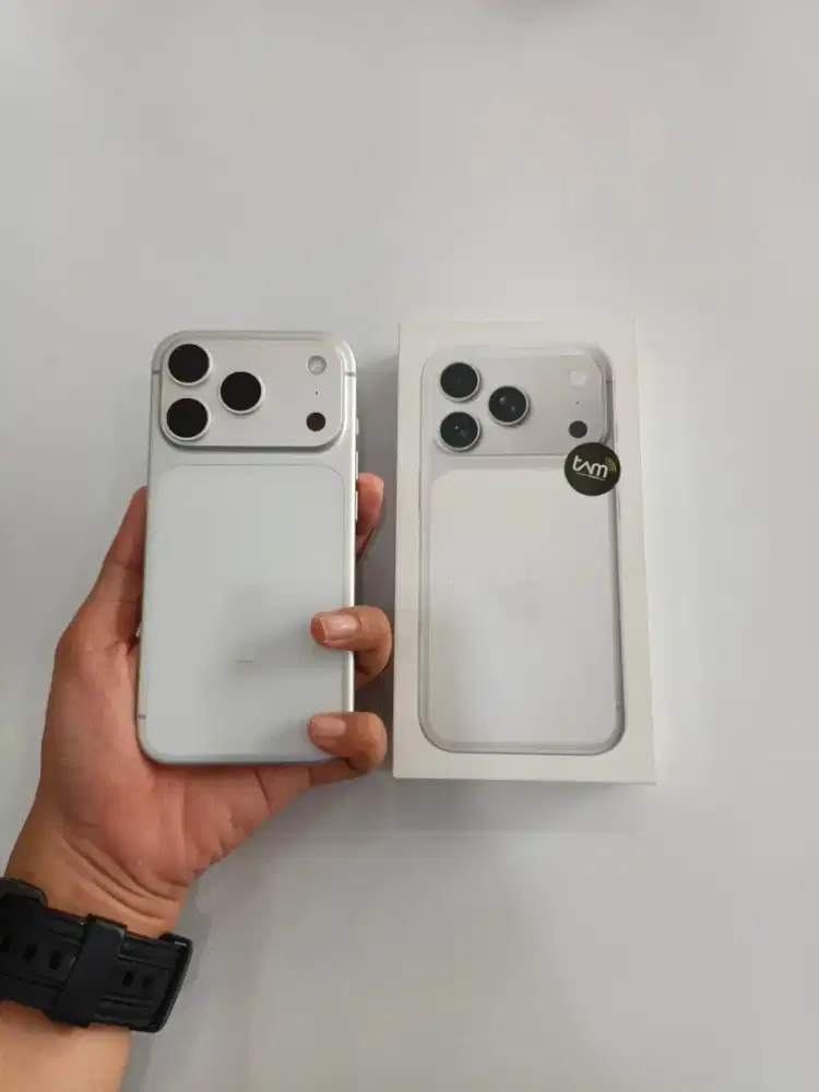 17 PRO 256 SILVERRRR RESMI