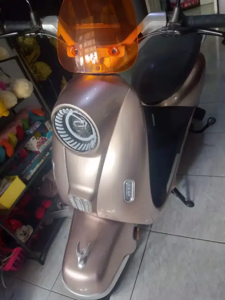 Sepeda listrik uwinfly t 65 lithium