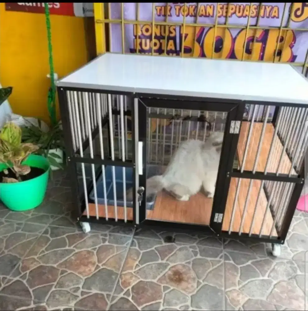 Rumah Kucing Aluminium, Kandang Kucing Almunium 1 Ruang  Pintu Kaca,