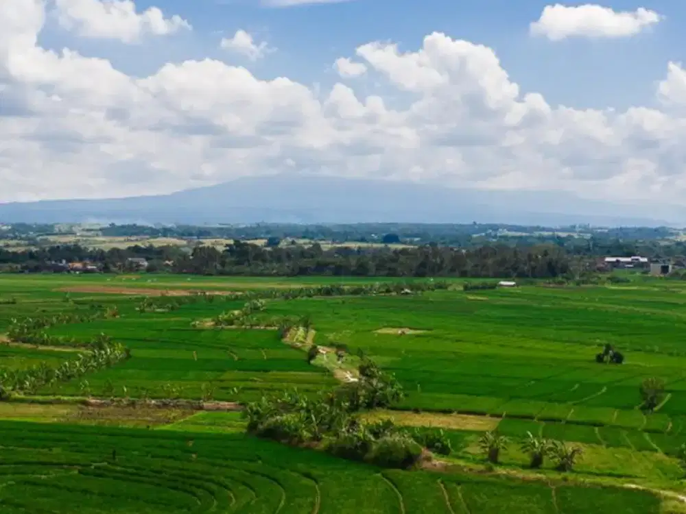 TANAH ZONA PINK KERAMBITAN TIBUBIU TABANAN