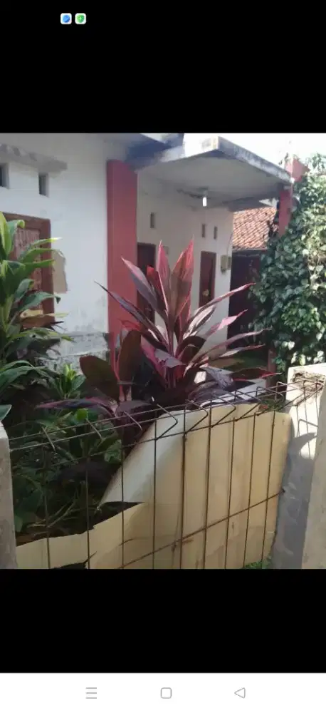 Di kontrakan satu rumah lantai 1 di pengasinan sawangan Depok Monggo