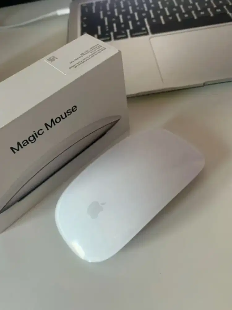 wts apple magic mouse