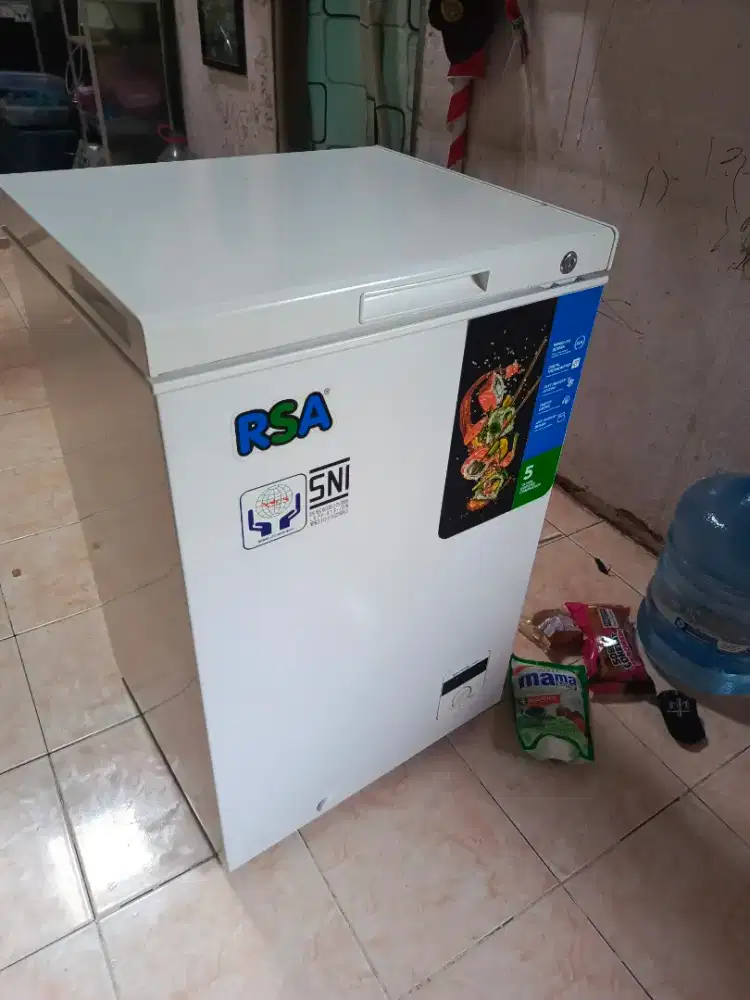 Box Frezzer Merk RSA 100 L