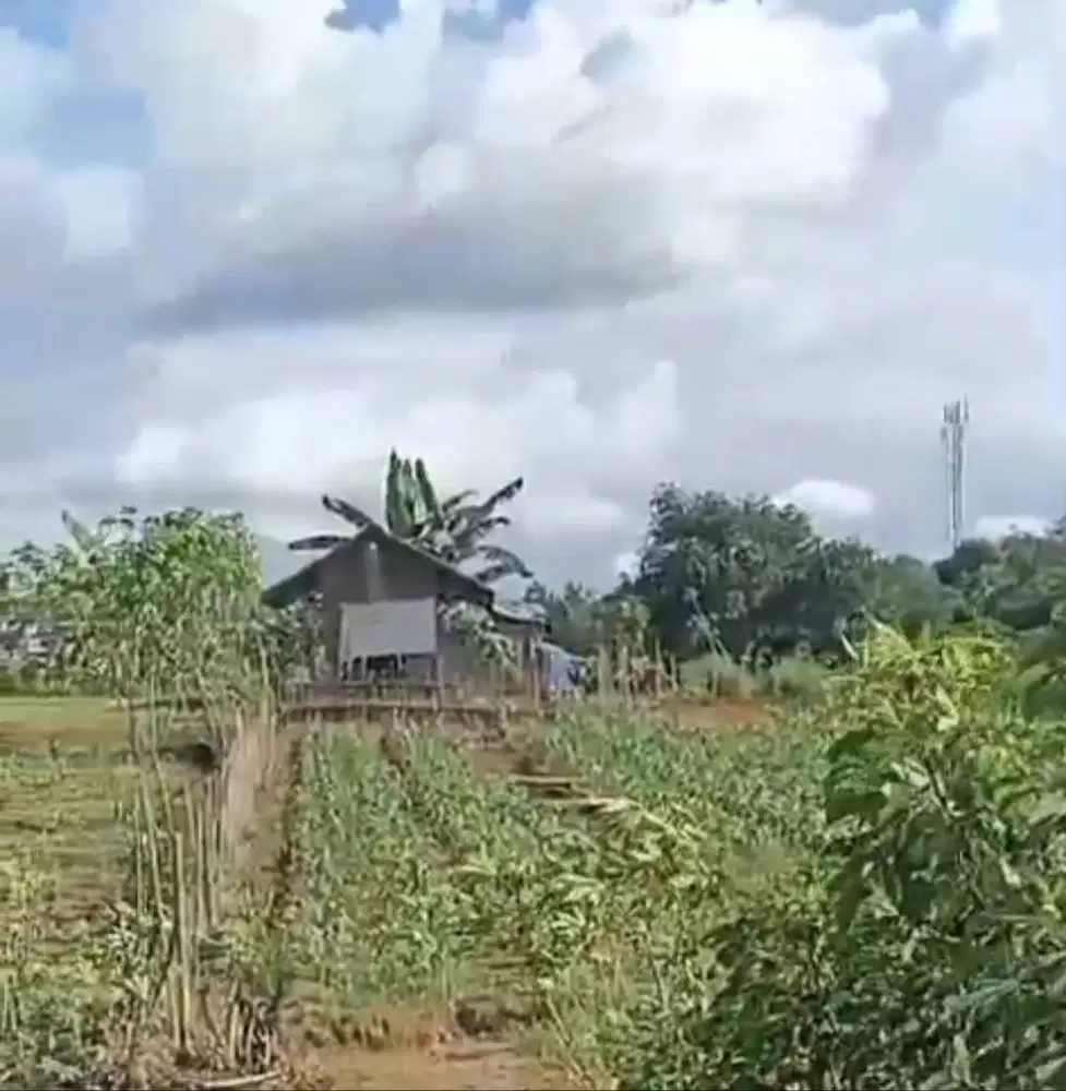 DIJUAL TANAH 41 HA DI DEKAT CITRA RAYA TANGERANG