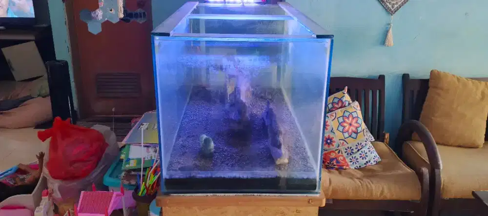 Aquarium 1 x 0,5 m