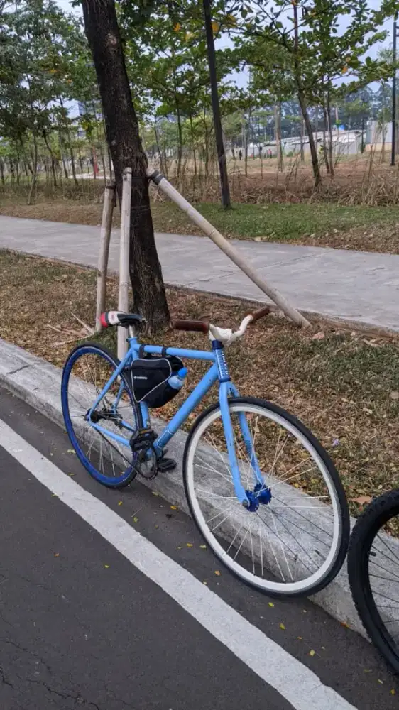 Sepeda fixie soloist 02