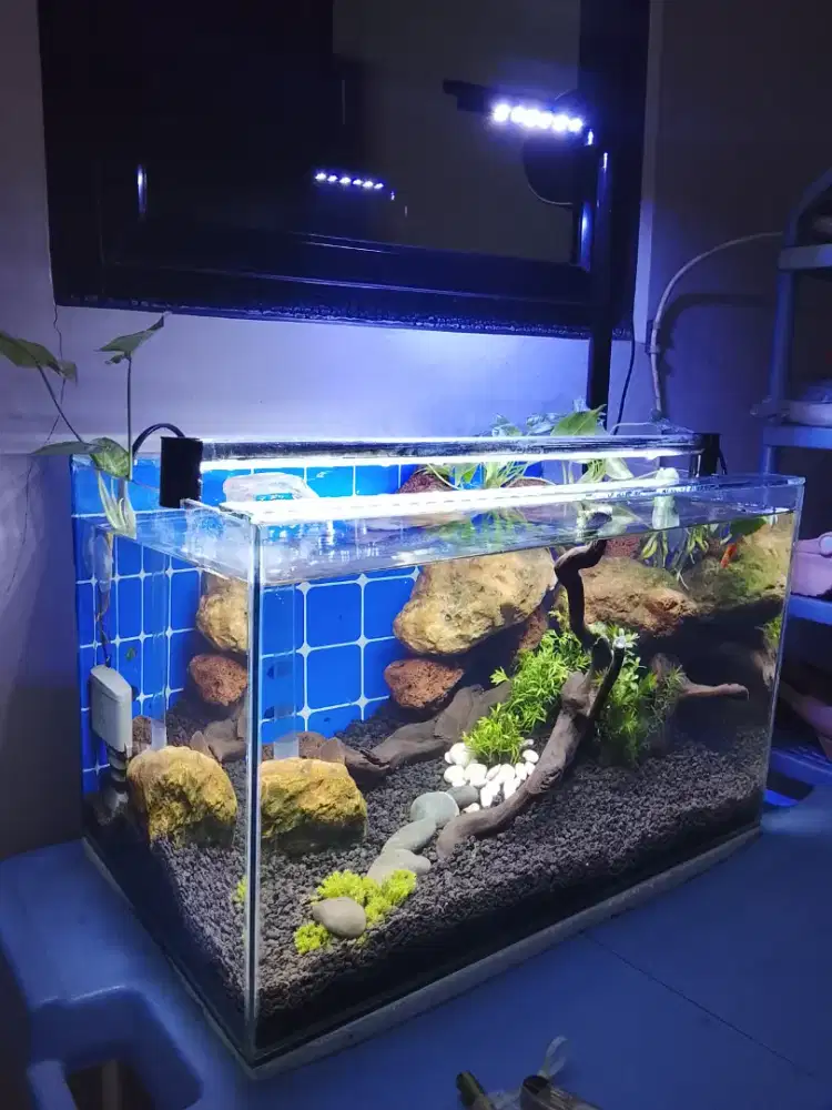 Jual aquascape murah kondisi baru + meja + lampu 2  / NEGO