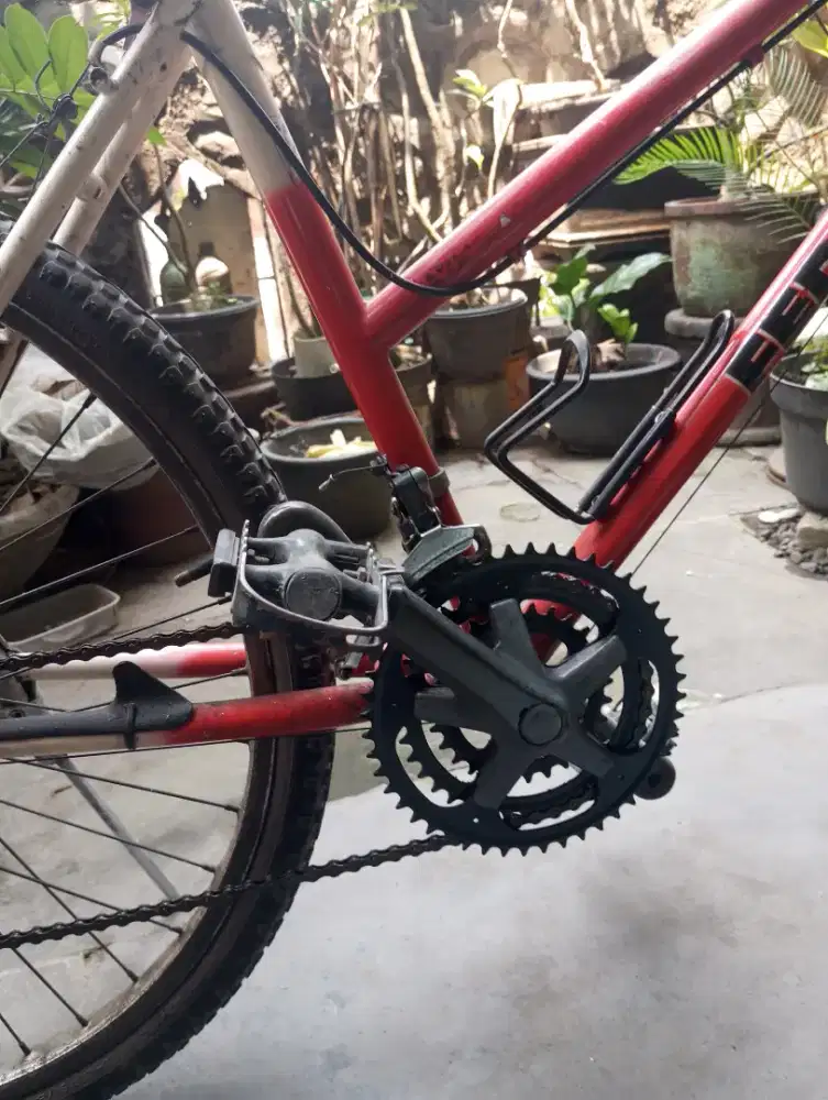 Sepeda FEDERAL Cycle 2000